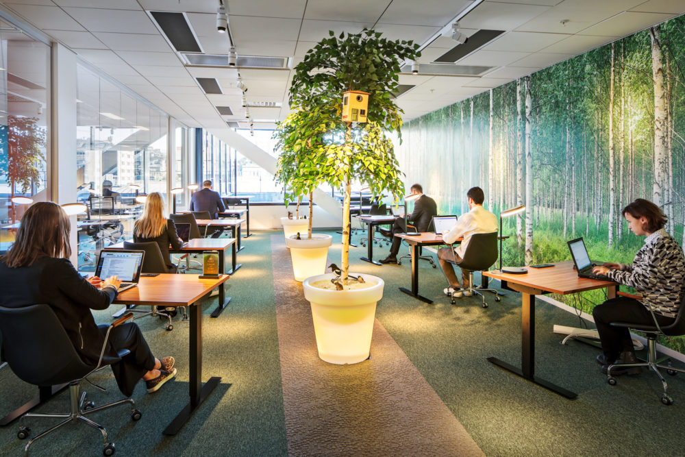 végétalisation bureaux espaces travail